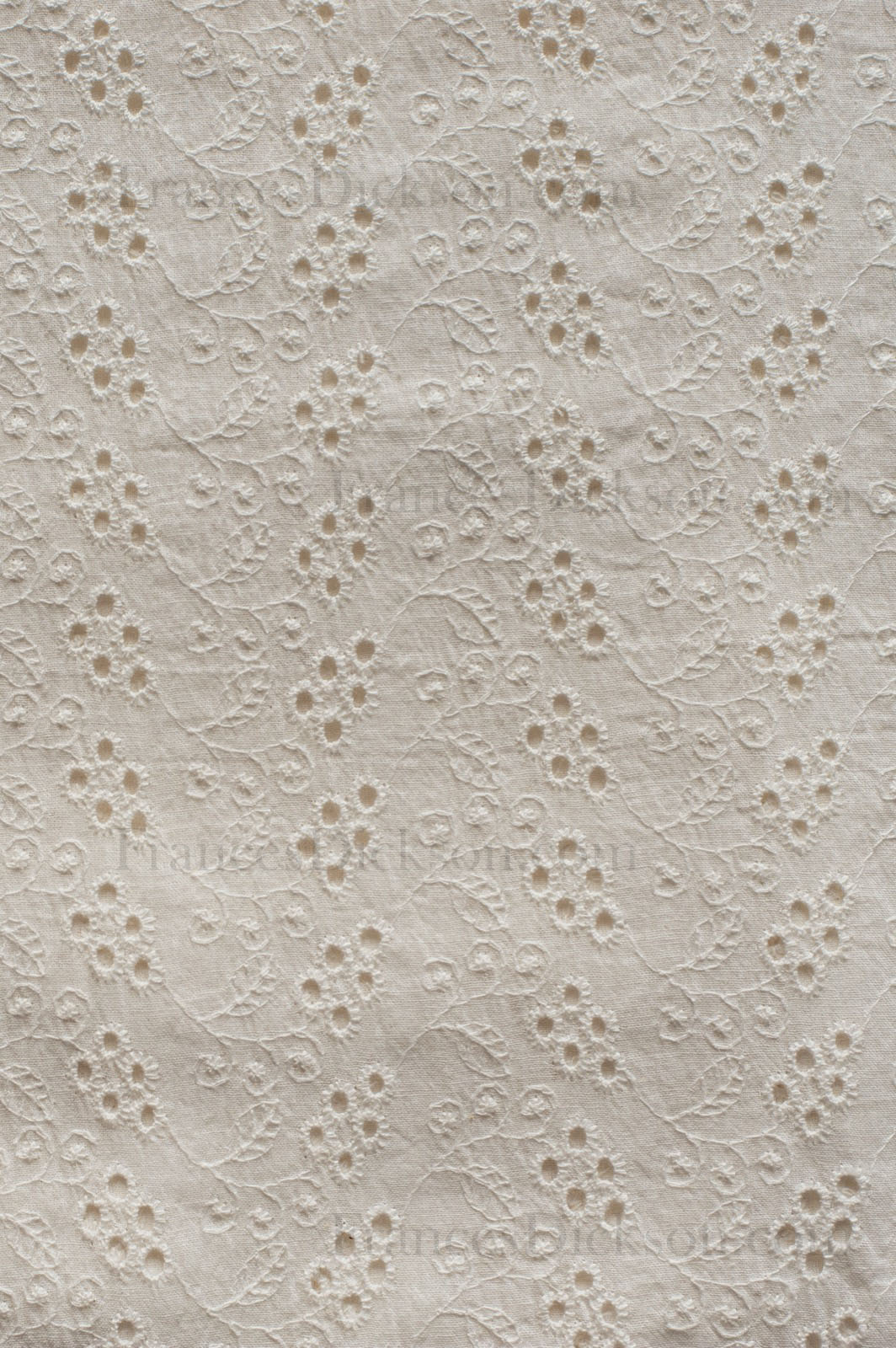 Ivory cotton Schiffli fabric with floral and leaf embroidery and cutwork detailing, showing delicate texture and pattern.