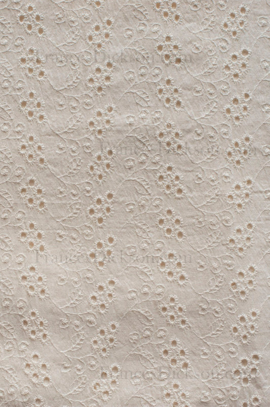 Ivory cotton Schiffli fabric with floral and leaf embroidery and cutwork detailing, showing delicate texture and pattern.
