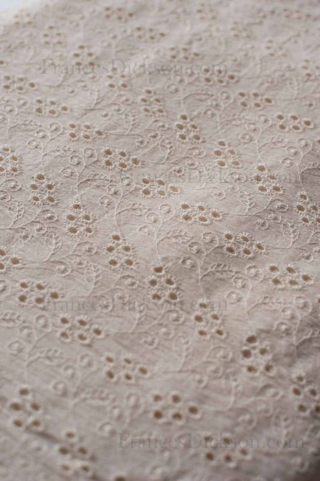 100% Cotton Schiffli / Shifley Fabric – Ivory - 01